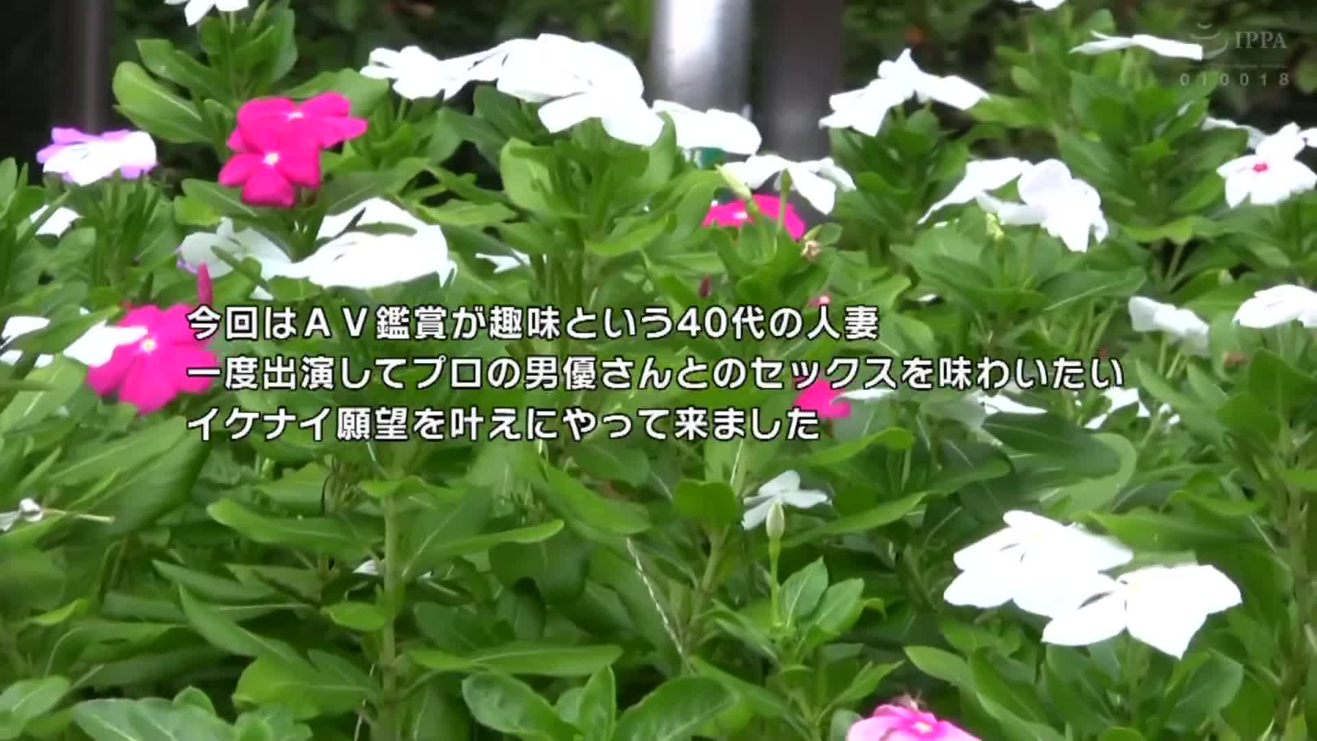 綺麗なアナルのおばさん不倫 - AV大平台 - 中文字幕，成人影片，AV，國產，線上看